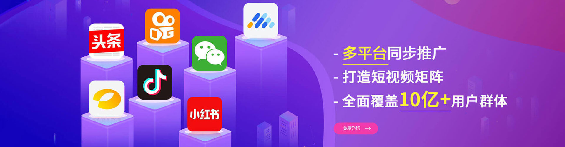 峡江竞价端口开户